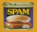 spam